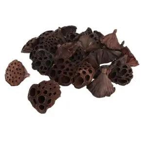30x Rustic Natural Real For DIY Art Crafts Wedding Decoration
