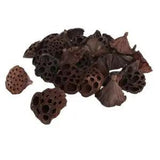 30x Rustic Natural Real For DIY Art Crafts Wedding Decoration