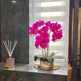 FUSHIA MARBLE PARIS - Orchids Plant in pot - Arrangement Artificial - Real touch - Phaleonopsis Fushia flower - 16 Cm - Birthday  days Gifts