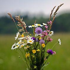 The Secret Meaning of Herbs Flower Delivery