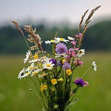 The Secret Meaning of Herbs Flower Delivery