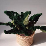 New! Verigated monstera plant, 9" x 12" (22 x30.5 cm), Table or Hanging Plant, Decor, Hand Crochet