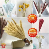 15pcs Natural Dried Pampas Grass Flowers Real Plants Home Wedding Decoration