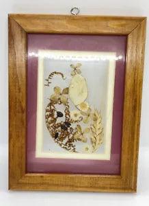 Vintage Framed Pressed Flowers 8x6??? Transparent