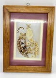 Vintage Framed Pressed Flowers 8x6??? Transparent