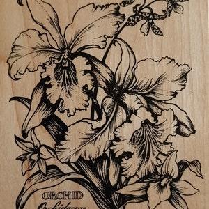 PSX Orchid Orchidacae Extra Large Wood Mounted Rubber Stamp vintage K-1441  1995 plant Botany Botanicals