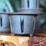 Mini Black Grey Unglazed Ceramic Orchid Planter Pot with Holes and Optional Saucer