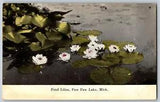 Michigan MI - Pond Lilies, Paw Paw Lake - Vintage Postcard - Unposted
