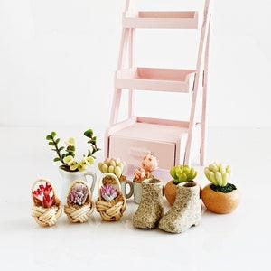 Miniatures Cactus Succulents Orchid Flowers Plants Pots Wooden Wood Shelve ,Plant stand ,Dollhouse Furniture ,Fairy Garden ,Christmas Gift