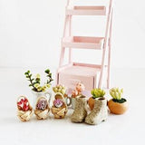 Miniatures Cactus Succulents Orchid Flowers Plants Pots Wooden Wood Shelve ,Plant stand ,Dollhouse Furniture ,Fairy Garden ,Christmas Gift
