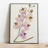 Vintage Orchid Botanical Art Print | Orchids Illustration Giclee Poster | Tropical Flowers | Orchid Home Decor | Floral Wall Art | Flower