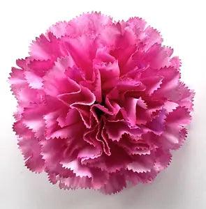 Large Deluxe 4.5" Variegated Pink Carnation Silk Flower Hair Clip #2
