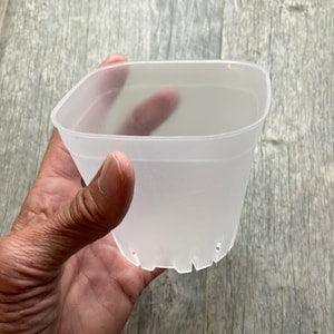 3.75??? round cornered clear square orchid pot, Clear plastic pot, Clear pot for succulents, Seedling plant pot, Pots for cactus
