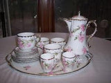 17 Piece Antique PMB Royal Bavarian China Carnations Tea Set Germany