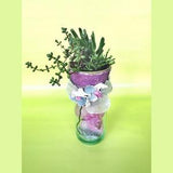 Indoor planter pink with silk orchid and VARIOUS live succulents group