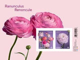 2023 Canada Ranunculus Souvenir Sheet Of Two Stamps (Two Designs Single & Bunch)