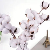 Naturally Dried Cotton Stems Artificial Flower Floral Decor Fake Cotton...