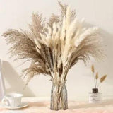 Grass Pampas Artificial Decorative Accessories Suitable For DIY Home Decorations