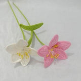 Crochet Wind and Rain Orchid Flower Bouquet Beautiful Room Decor Knitted Flowers