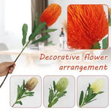 Dried Flowers Native Artifical Blush Banksia Fake Silk Stem Wedding Arrangement