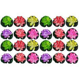 Floating Pond Decor Floating Lily Flower Artificial Water Lily Simulation Plant
