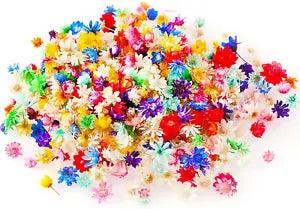 600 Pieces Mini Natural Dried Flowers Colourful Dried Little Star Flowers Heads