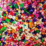 1 G Dried Flower Head Daizy Glass Cover Nail Art Filling Epoxy DIY Craft Nice