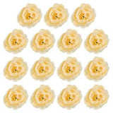15Pcs Artificial Flower Head Fake Flowers Heads Bulk Silk Peony Heads Champagne