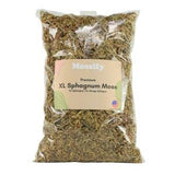 XL Premium Natural Sphagnum Moss