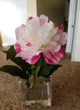 Smithsonian Peonies Flowers in Vase Decor