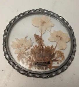 Pressed Dried Real Flowers Window Wall Hanging Lasting Impressions