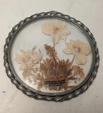 Pressed Dried Real Flowers Window Wall Hanging Lasting Impressions