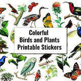 Printable Stickers ~ Illustrations of Colorful Birds, Orchids, Plants, Trees, Bugs, Butterflies, Moths ~ Nature, Wildlife, Flora and Fauna