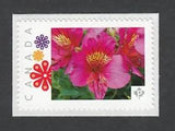 PERUVIAN LILY ALSTROEMERIA = Picture Postage stamp LIMITED Canada 2014 p83fl5/5