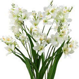 Real Touch Freesia (White) Long Stem Artificial Flowers, Wedding, Home Decor,Arrangment 6 Stems Flower Delivery