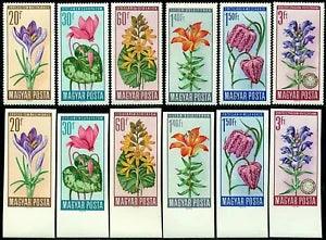 Hungary 1966 Flowers,Tiger Lily,Cyclamen,Scorpionfish,Mi.2212 A+B,MNH,CV=$32