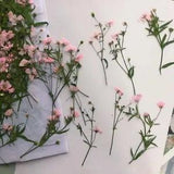 Natural Pressed Dried Flowers - DIY Gypsophila Flower Small Babysbreath Branches