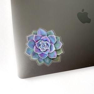 Purple Succulent Sticker - Clear Vinyl Sticker - Waterbottle Sticker - Laptop Sticker - Sticker - Succulent Sticker - GraceandGloriaCo