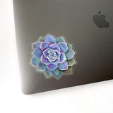 Purple Succulent Sticker - Clear Vinyl Sticker - Waterbottle Sticker - Laptop Sticker - Sticker - Succulent Sticker - GraceandGloriaCo