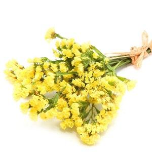 Wavyleaf Sea Lavender Statice Yellow Flowers 0.3g - 70 NON GMO Seeds - Limonium Sinuatum