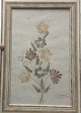 2 picture framed pressed flower art. ???Tacaria???