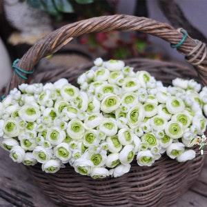 White green picasso ranunculus/ Silk Mini Ranunculus/Artificial Silk Ranunculus/Rose Buds for wedding home decor