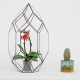Tulip Tower Geometric Terrarium by Kraftzon | Glass | Handmade | for succulent, cactus, orchids and tulips