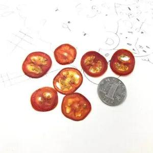 12pcs Dried Pressed Tomato Vegetable Slices For Jewellery Photo Frame Phone...