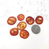 12pcs Dried Pressed Tomato Vegetable Slices For Jewellery Photo Frame Phone...