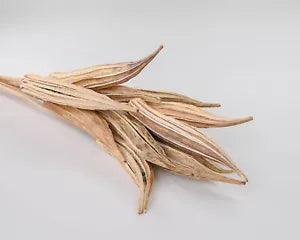 Okra Pods Stemmed Natural Single Bunch