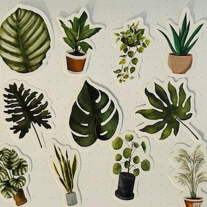 Small Green Plant Stickers - House Plant Stickers - Scrapbook - Bullet Journal