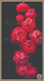 Peonies on a black 401 Chart Counted Cross Stitch Pattern Needlework craft