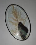 Handmade pressed butterfly wing and dried fern