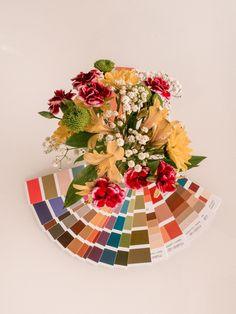 How To Add Custom Colors To Squarespace Flower Delivery